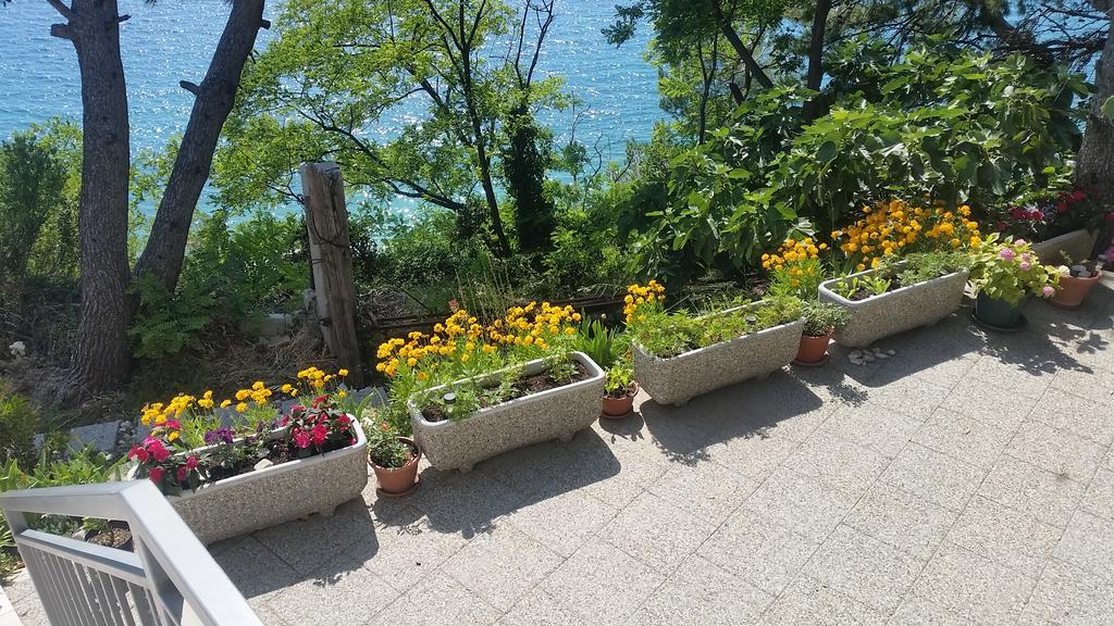 Apartments Garac 두기라트 외부 사진